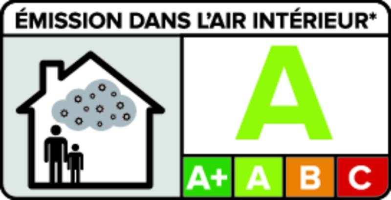 Emission dans l'air intérieur