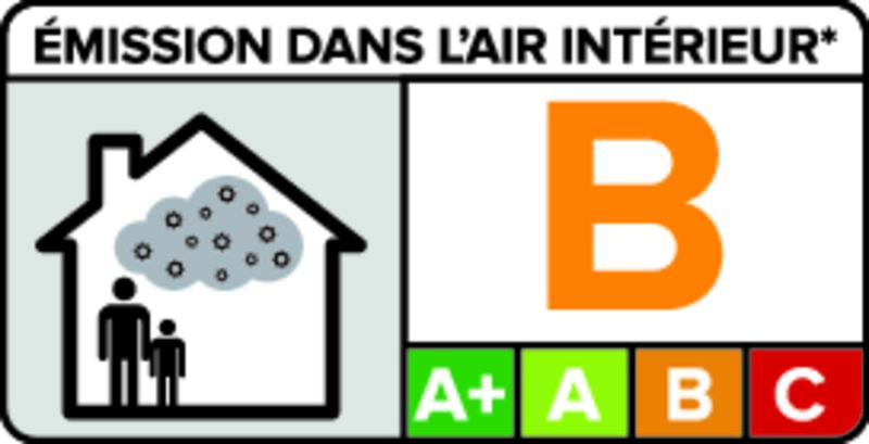 Emission dans l'air intérieur